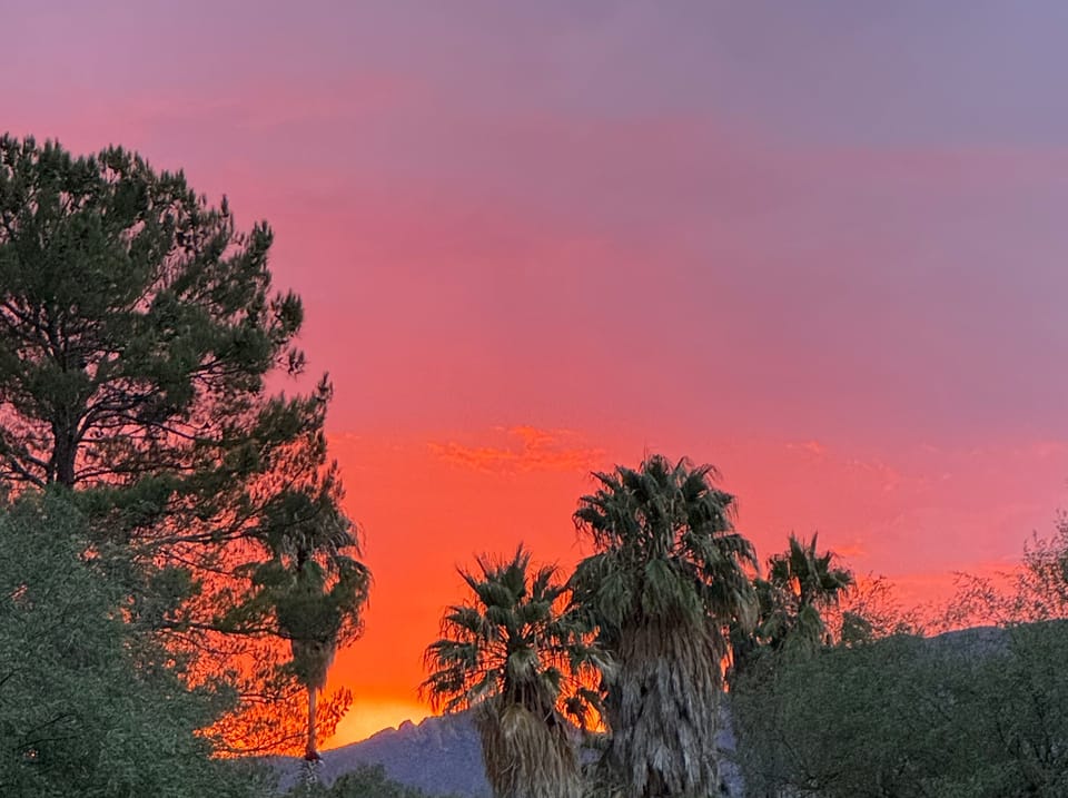 Finding Hope in the Chaos: An Old Dyke's Reflection